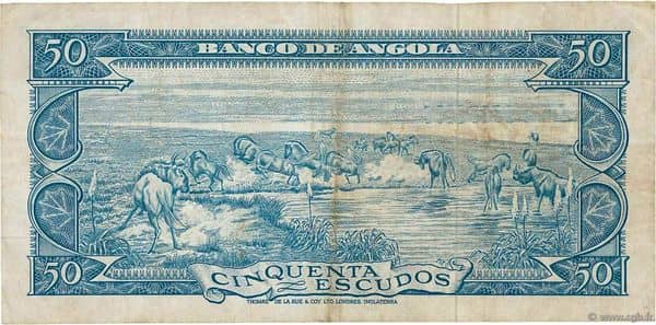 50 Escudos