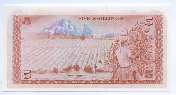 5 Shillings