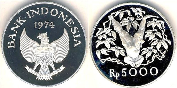 5.000 rupiah (Orangután)