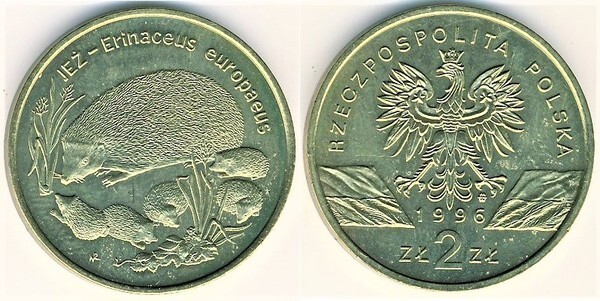 2 zlote (Erizo)