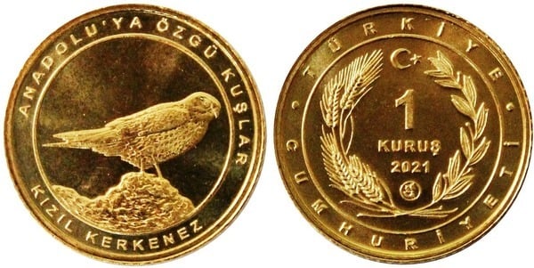 1 kuruş (Cernícalo)