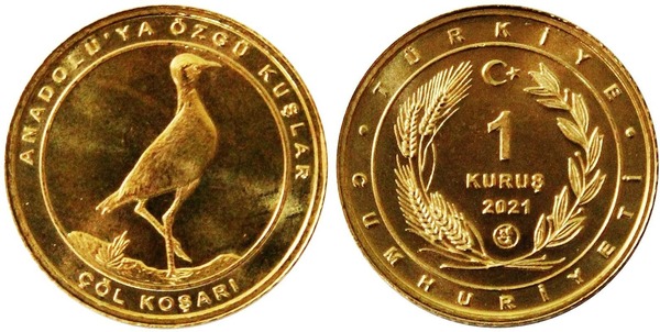 1 kuruş (Corredor sahariano)