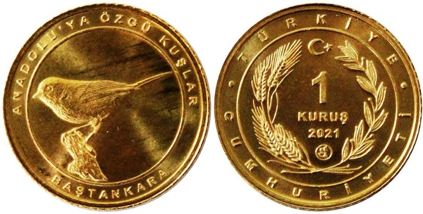 1 kuruş (Herrerillo)